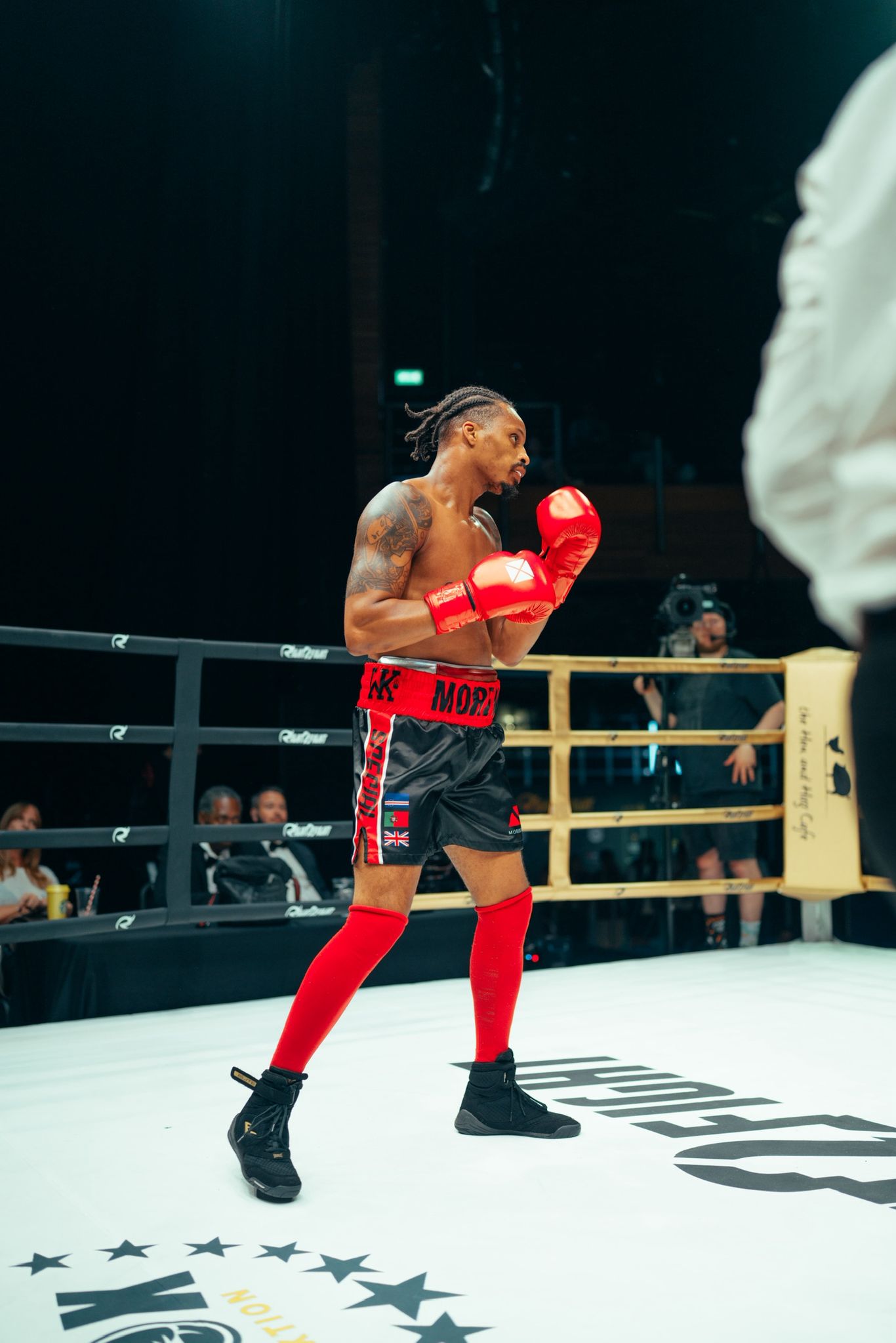 Professional Boxing